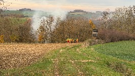 25 11 13 15 57 44 0666 thumb